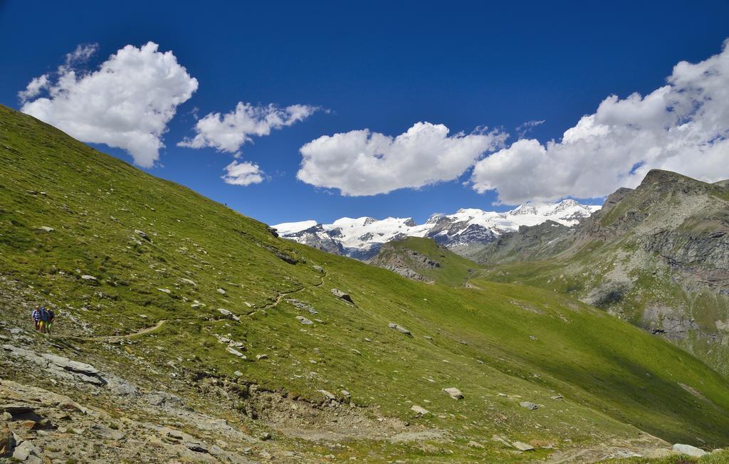 Le Coin Des Melezes - Nature & Trek - Camere In Baita Di Montagna Brusson Exteriér fotografie