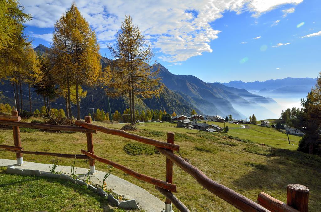 Le Coin Des Melezes - Nature & Trek - Camere In Baita Di Montagna Brusson Exteriér fotografie