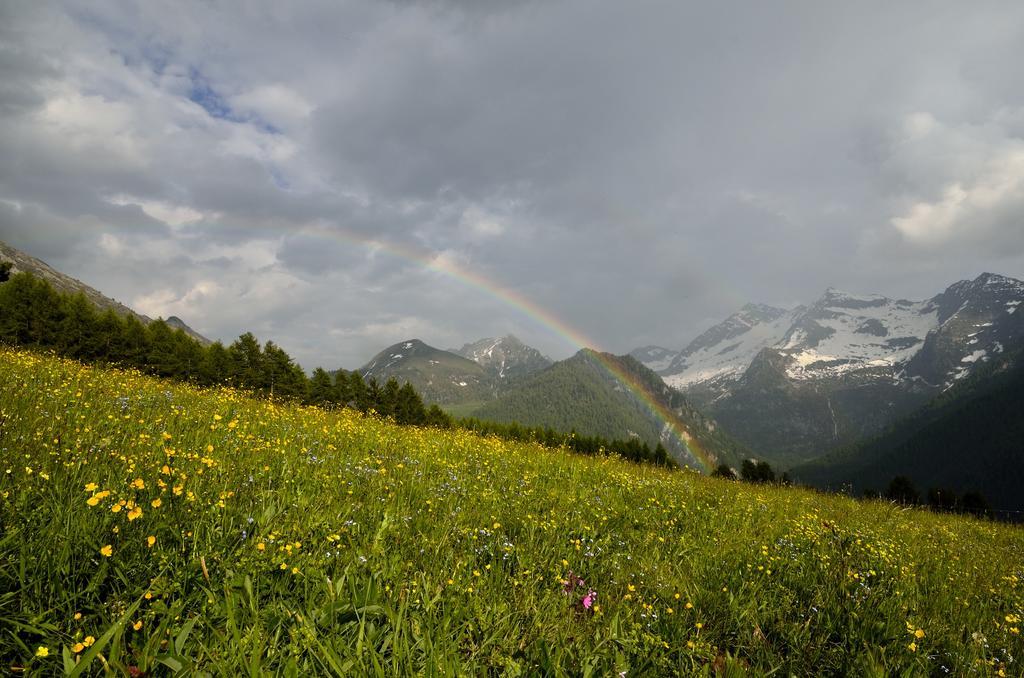 Le Coin Des Melezes - Nature & Trek - Camere In Baita Di Montagna Brusson Exteriér fotografie