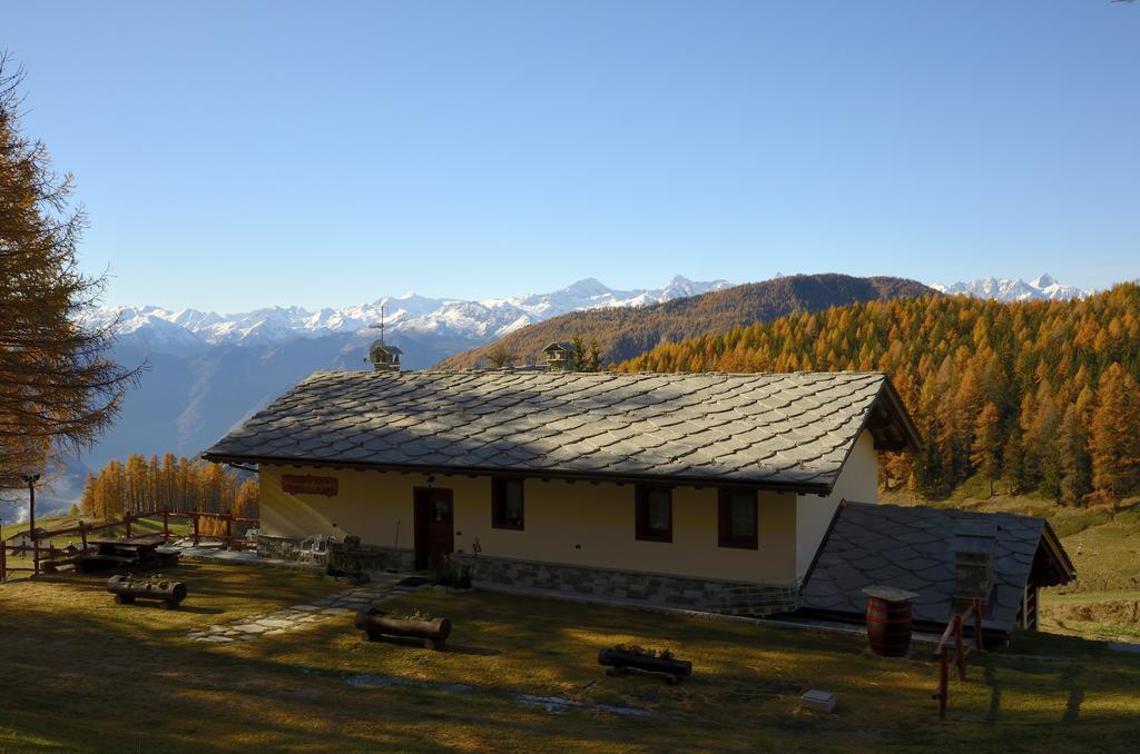 Le Coin Des Melezes - Nature & Trek - Camere In Baita Di Montagna Brusson Exteriér fotografie