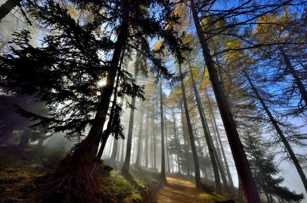 Le Coin Des Melezes - Nature & Trek - Camere In Baita Di Montagna Brusson Exteriér fotografie