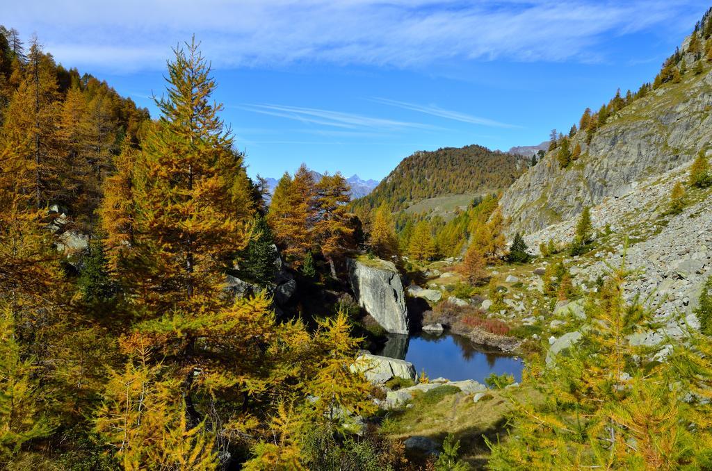 Le Coin Des Melezes - Nature & Trek - Camere In Baita Di Montagna Brusson Exteriér fotografie