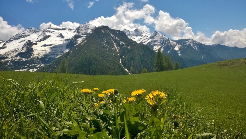Le Coin Des Melezes - Nature & Trek - Camere In Baita Di Montagna Brusson Exteriér fotografie